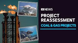 Government asked to reassess coal and gas project decisions  | ABC News