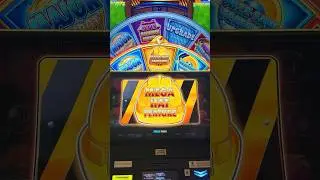 The weird $100 got me a quick bonus #slot #slotscasinogames #casinogames #casino
