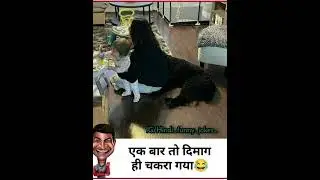 #shorts #memes #memesvideos #memer #memesdaily #memeworthy #memeworld #funnymemes #funnymemesvideos