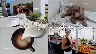 Los Angeles vlog ♡ Sundays in Malibu, farmers market, summer try-on haul, PR unboxing, ER visit