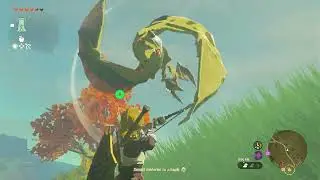 Zelda Tears Of The Kingdom #RadCrush 63