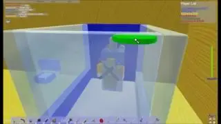 robloxapp 20100616 1733843