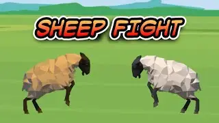 Sheep Fight Animation - Animal Action