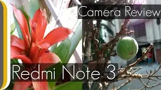Redmi Note 3 UNBIASED Camera Review by Ur IndianConsumer