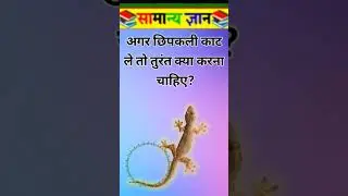 Top 50 ✍️ IAS Question🔥💯🥰 || GK Question and Answer|Part-113.#facts​ #gkfacts​ #gkinhindi​ #facts