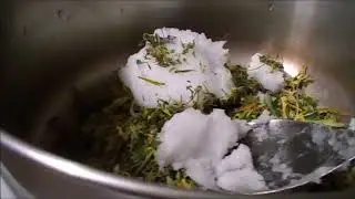 How To Make Cannabis Infused Coconut Oil 2018-By Sunny420