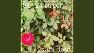 A Thousand Flowers