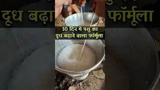 पशु का दूध दोगुना करने वाला फॉर्मूला#milkincreasetips#milkbooster#dairyfarm #cow#agriculture