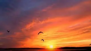 #sunrise Beautiful Sunrise Videos/Awesome Sunrise Video/Wonderful Sunrise Videos