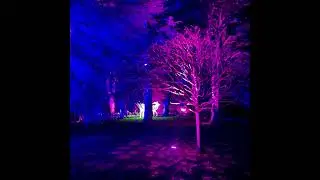 [FREE] Juice WRLD x Nick Mira Type Beat 2024 - 