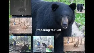 Intro to our 2015 Spring Bear Hunt with Sugarloaf Outfitting, in Manitoba