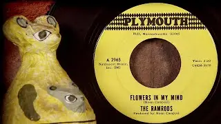 The Ramrods - Flowers In My Mind  ...1967