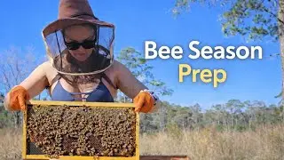 Getting Ready for a New Bee Season | Inside My Beekeeping Setup