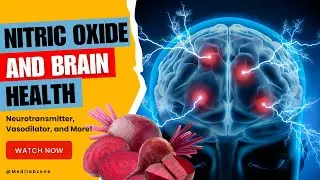 The Science of Nitric Oxide and Brain Health Explained | Neurotransmitter, Vasodilator, and More!