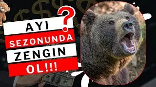Ayı Sezonunda ZENGİN OL! Bitcoin ve Kripto Paralar ile Ayı Piyasasında Nasıl Kazanılır?