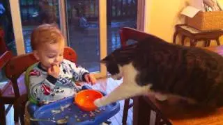 Quiet breakfast scene