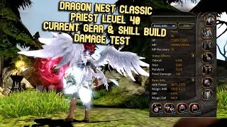 DN Classic Priest Lv 40 Current Skill Build & Gears Damage Test DPS Mode