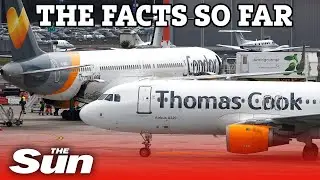 Thomas Cook collapse: the facts so far
