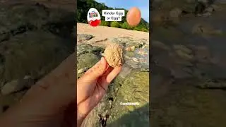 Пляжный челлендж: сдашь ✅ или провалишь? ❌ Подпишись, чтобы получить ещё один шанс ;)