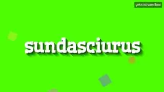 SUNDASCIURUS - HOW TO PRONOUNCE IT!?