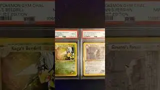 Nothing to See Here Vintage PC #pokemon #pokemontcg  #gengar