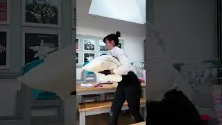 Professional Office Deep Clean in Foxrock | HexaClean Solutions #asmr #satisfying #cleaningvideos