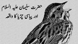 Bedtime Islamic Stories in Urdu Hindi | Daily Islamic Stories in Urdu 