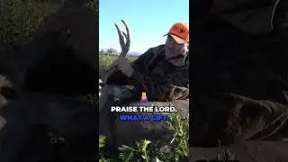 Wyoming Mule Deer DIY hunt #doorknockingstillworks #velvet #superexcited