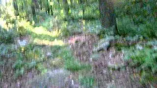 Ron Horner ride over the mountain on a YZ250
