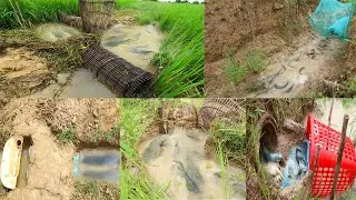 5 Easy Fish Traps Great for catching a lot of fish - tyriq1256