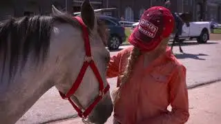 Bring Home a Wild Horse or Burro