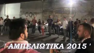 ΑΜΠΕΛΙΩΤΙΚΑ 2015  Lerintskite Sela ΤΑ ΧΩΡΙΑ ΤΟΥ ΛΕΡΙΝ (ΦΛΩΡΙΝΑΣ)