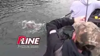 P-Line Fishing Lines