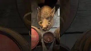The Hog&rsquo;s Head at Hog&rsquo;s Head Pub #hogsmeade #threebroomsticks #harrypotter #wizardingworld