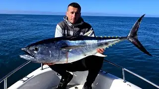 TUNA ON TROLLING! DAIWA-BG