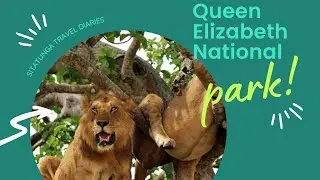 Queen Elizabeth National Park  - Uganda