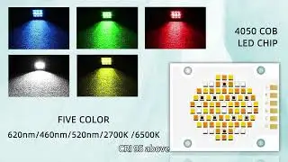 4055 five-color LED chips and detailed parameters.