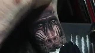 Realistic animal tattoo