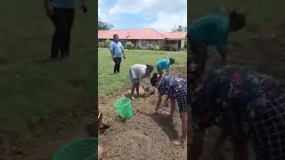 SMTK GGRIP MRQ Berkebun...