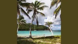 Upbeat Tropical Pop
