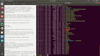 Linux урок 11. Переменная $PATH и ее назначение.