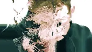 sh4dows - Pulse