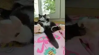 &lrm;Snack Time Surprise 😂&lrm;