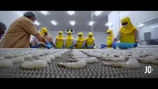 NAQ Foods corporate film 2016