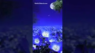 beautiful flower valley in night status। natural scene status। World of Natural scenes। night status