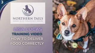 Dog Training video with Lisa Lucas | How to deliver Food correctly  | No 3 | Animal Communicator