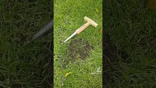 Bulb Planting Dibber