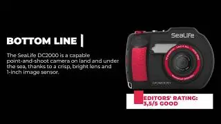 The Best Waterproof Cameras for 2019