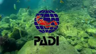 Open Water Diver