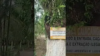 hoje em uma linda fazenda do vale.